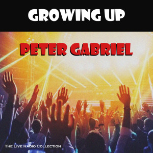 Listen to Red Rain (Live) song with lyrics from Peter Gabriel