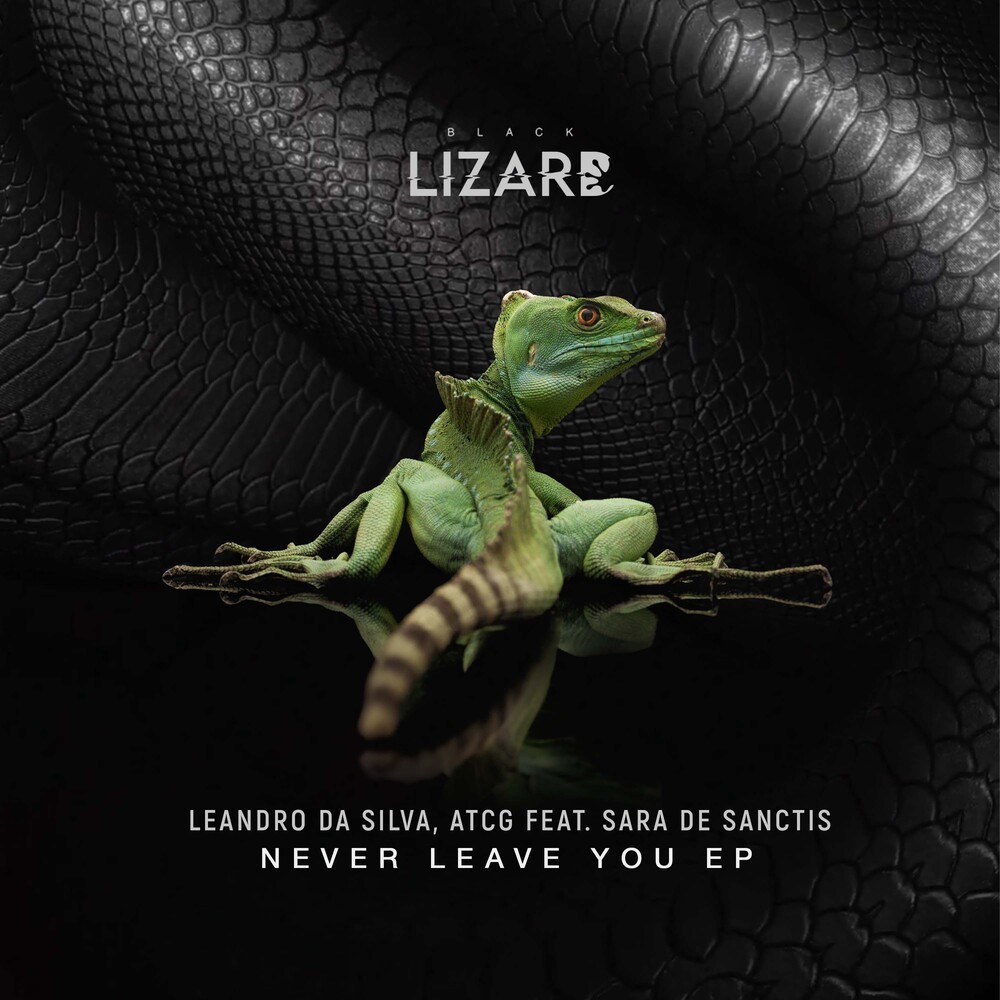 Never Leave You (Uh Oh) (Original Mix)