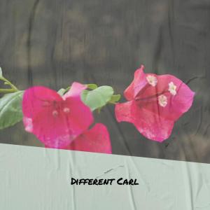 Album Different Carl from 