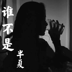 Listen to 谁不是 song with lyrics from 半夏吖