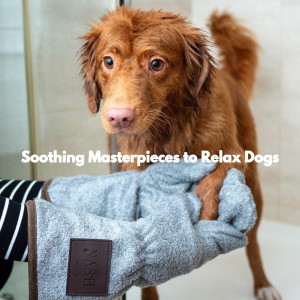 Soothing Masterpieces to Relax Dogs