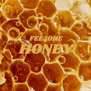 Listen to Honey song with lyrics from Feejoke