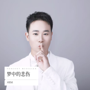 Album 梦中的悲伤 from 刘德斌
