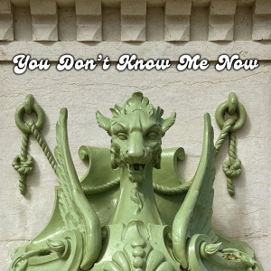 Album You Don't Know Me Now from Doug Reinke