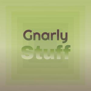 Listen to Gnarly Stuff song with lyrics from Evis Teny