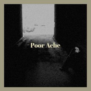 Various的专辑Poor Ache