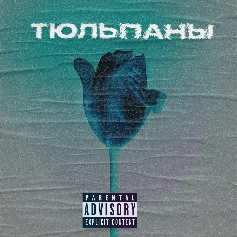 Тюльпаны (Explicit)