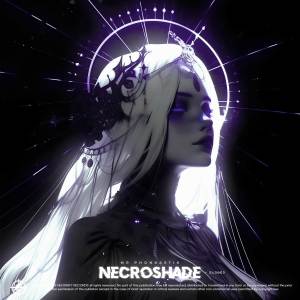 mr phonkastik的專輯NECROSHADE (Slowed)