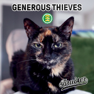 ดาวน์โหลดและฟังเพลง Choices พร้อมเนื้อเพลงจาก Generous Thieves
