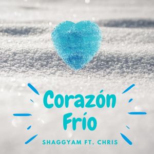 Listen to Corazón frío (Explicit) song with lyrics from ShaggyAM