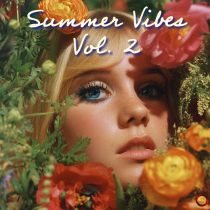 Listen to In the Summertime song with lyrics from Mungo Jerry