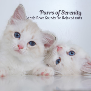 Album Purrs of Serenity: Gentle River Sounds for Relaxed Cats from Sleepy Cat