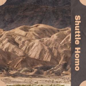 nuell的专辑Shuttle Homo