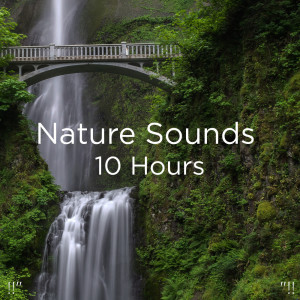 收聽Nature Sounds的Sleep Music Relax歌詞歌曲