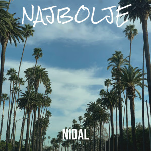 Nidal的专辑Najbolje