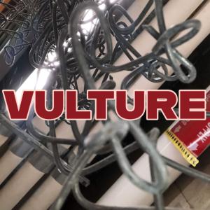 ดาวน์โหลดและฟังเพลง Vulture (Explicit) พร้อมเนื้อเพลงจาก Ian McIntosh