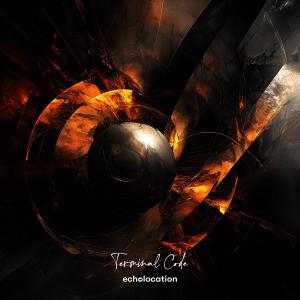 收聽Echolocation的Terminal Code歌詞歌曲