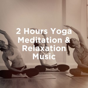 Album 2 hours yoga meditation & relaxation music oleh Sounds of Nature White Noise for Mindfulness Meditation and Relaxation