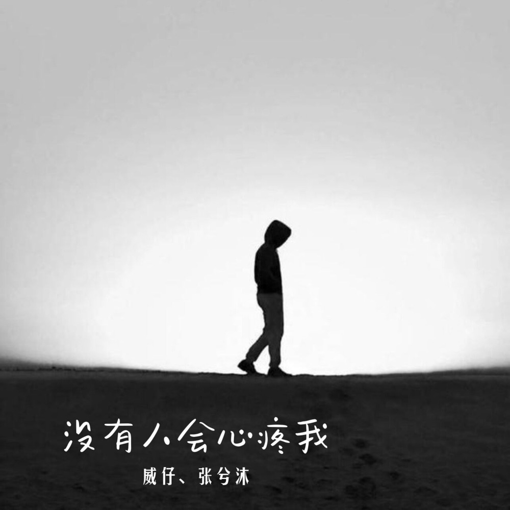 没有人会心疼我 (伴奏)