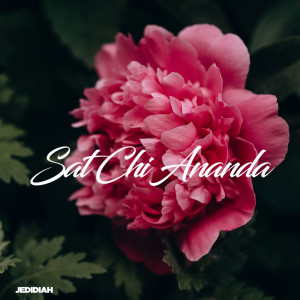 Jedidiah的专辑Sat Chi Ananda