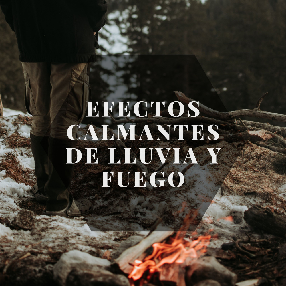Feliz Y Afortunado