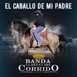 收聽Banda La Reyna Del Corrido的El Caballo De Mi Padre歌詞歌曲