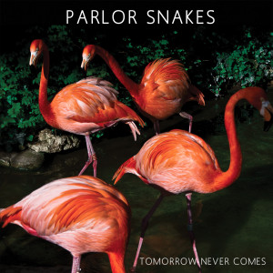 ดาวน์โหลดและฟังเพลง Tomorrow Never Comes พร้อมเนื้อเพลงจาก Parlor Snakes