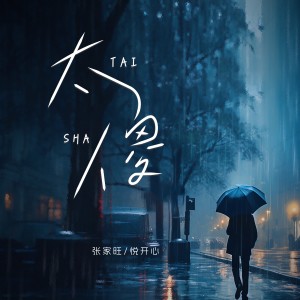 Album 太傻（合唱版） from 张家旺