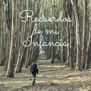 ดาวน์โหลดและฟังเพลง Recuerdos De Mi Infancia พร้อมเนื้อเพลงจาก Michel Gonzalez