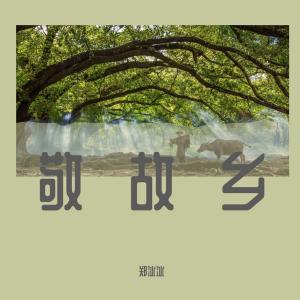 ดาวน์โหลดและฟังเพลง 敬故鄉 (完整版) พร้อมเนื้อเพลงจาก 郑冰冰