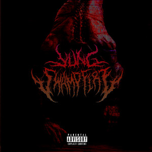 收聽YUNG SWAMPFIRE的Next Level (Explicit)歌詞歌曲
