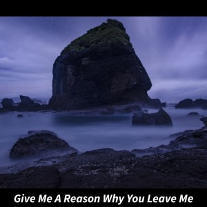 Give Me a Reason Why You Leave Me