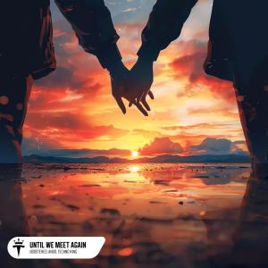 Album Until We Meet Again from Boostereo