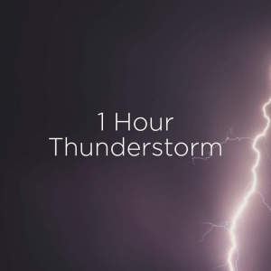 Listen to Tin Roof Rain Storm song with lyrics from Thunderstorm Sound Bank