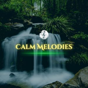 Album Calm Melodies from 