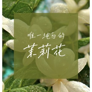 Listen to 唯一纯白的茉莉花 (说唱版) song with lyrics from 晚柠
