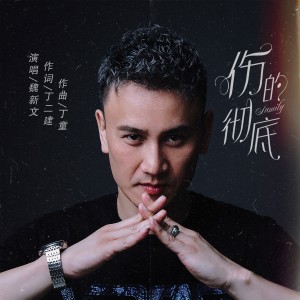 Album 伤的彻底 oleh 魏新文