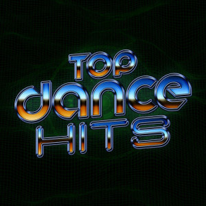 收聽Dance Hits 2014的Vault歌詞歌曲