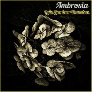 ดาวน์โหลดและฟังเพลง Amaryllis พร้อมเนื้อเพลงจาก Luke Gartner-Brereton