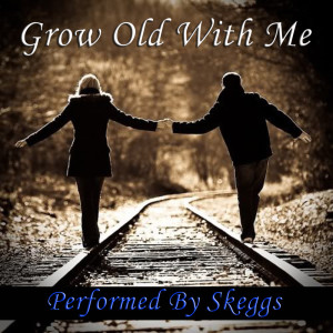 Listen to Merry Xmas (War Is Over) song with lyrics from Skeggs