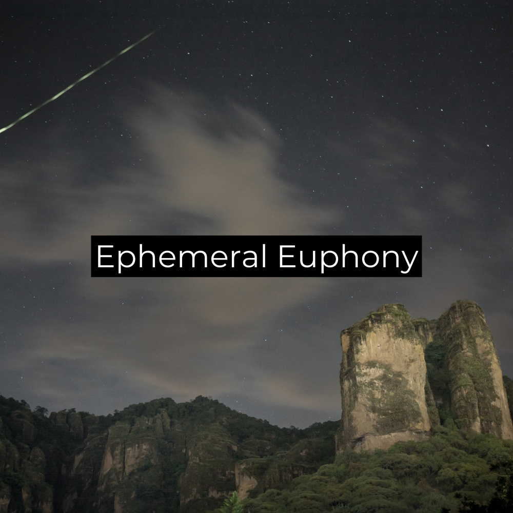 Solitude's Symphony
