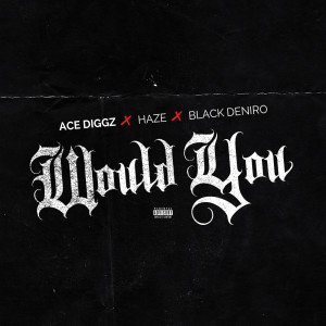 收聽Ace Diggz的Would You (Explicit)歌詞歌曲