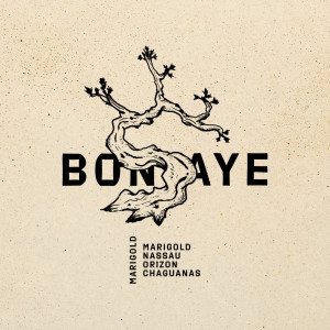 Listen to Nassau song with lyrics from Bonsaye