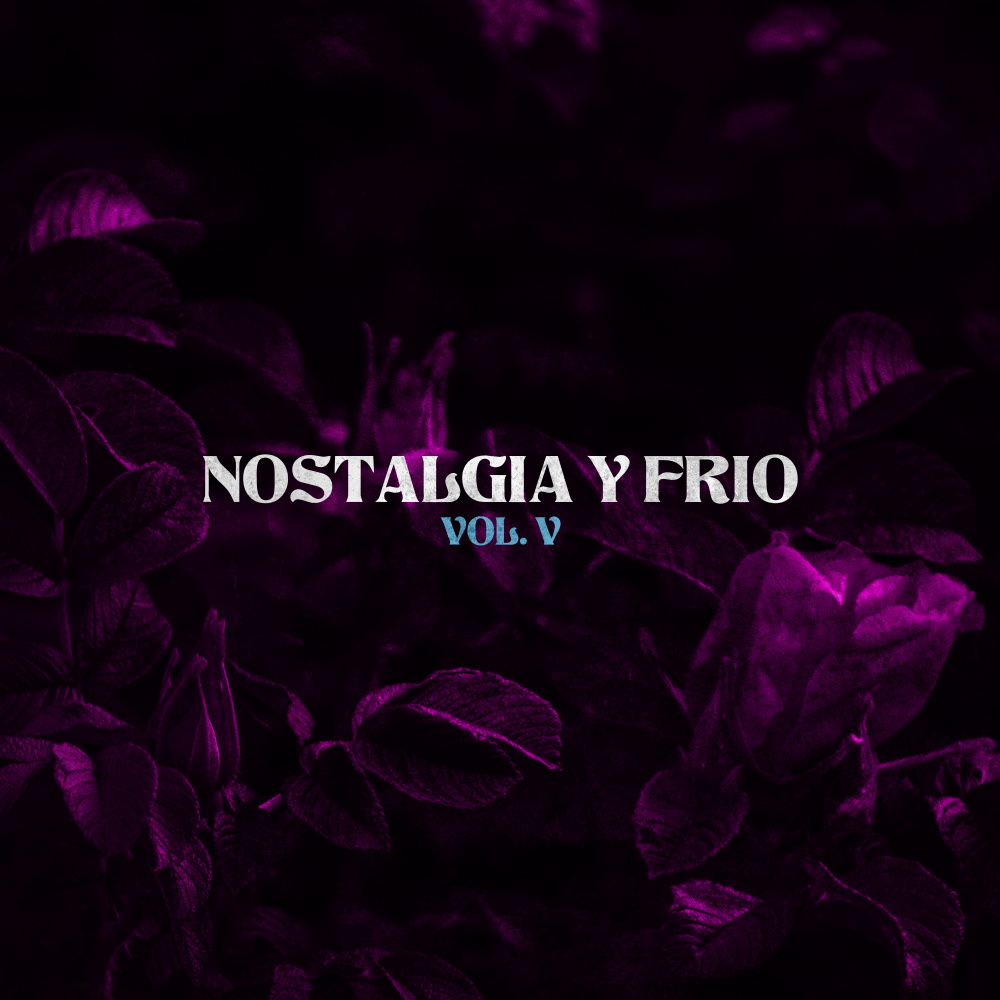 Nostalgia y Frío V