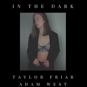收聽Taylor Friar的IN THE DARK歌詞歌曲