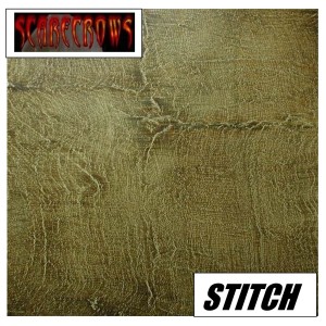 Scarecrowz的專輯Stitch (Explicit)