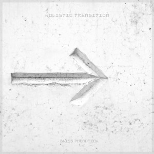 Listen to Holistic Transition song with lyrics from Bliss Phenomena
