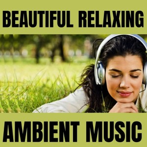 ดาวน์โหลดและฟังเพลง Relaxed Environment พร้อมเนื้อเพลงจาก Relaxation