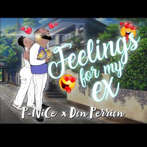 P-Nice的專輯Feelings For My Ex (feat. Don Perrion) (Explicit)
