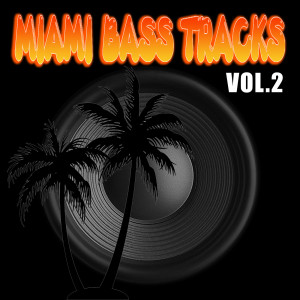 Miami Bass Tracks Vol.2 dari Miami Bass Tracks